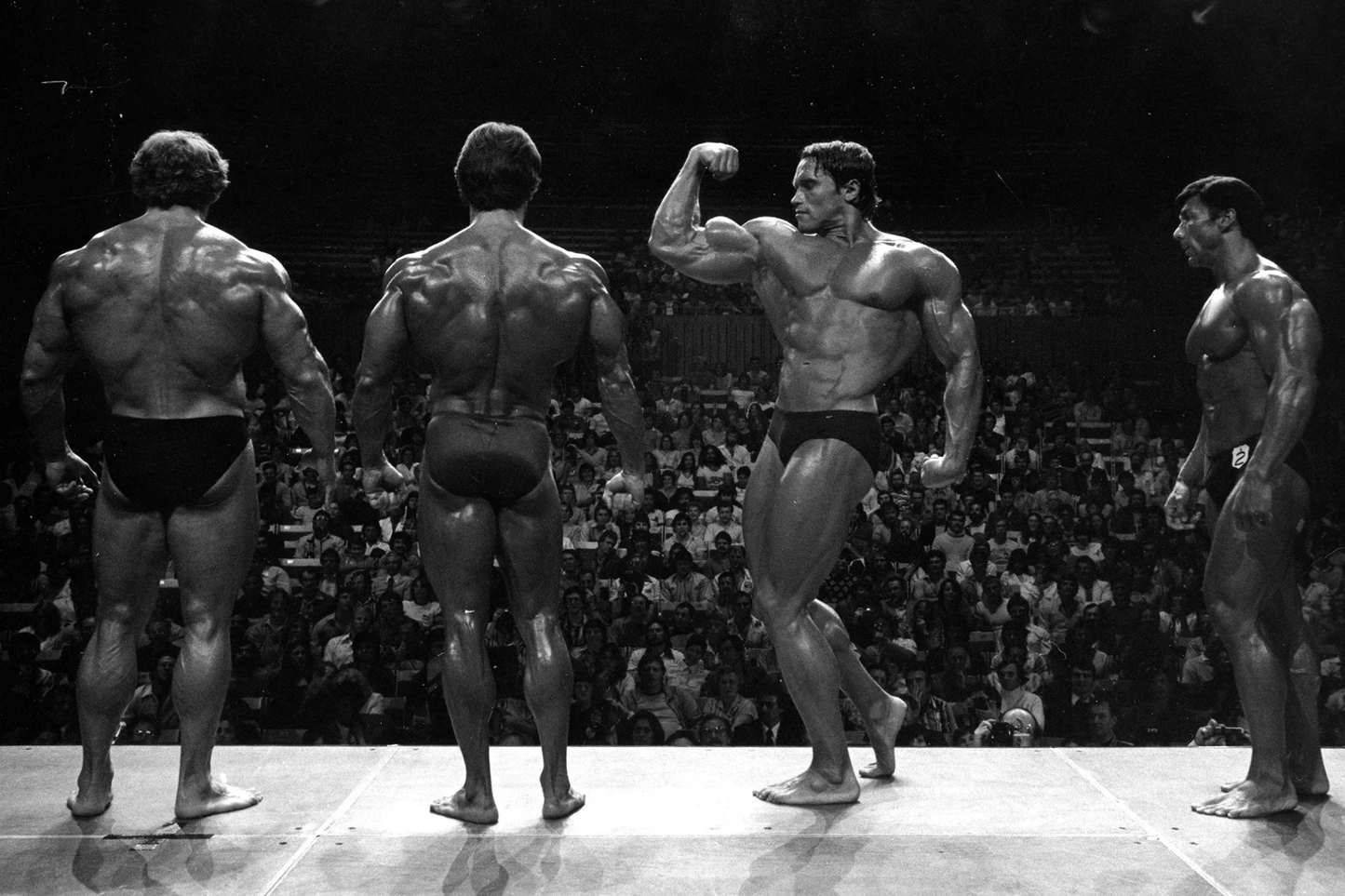 Arnold Schwarzenegger