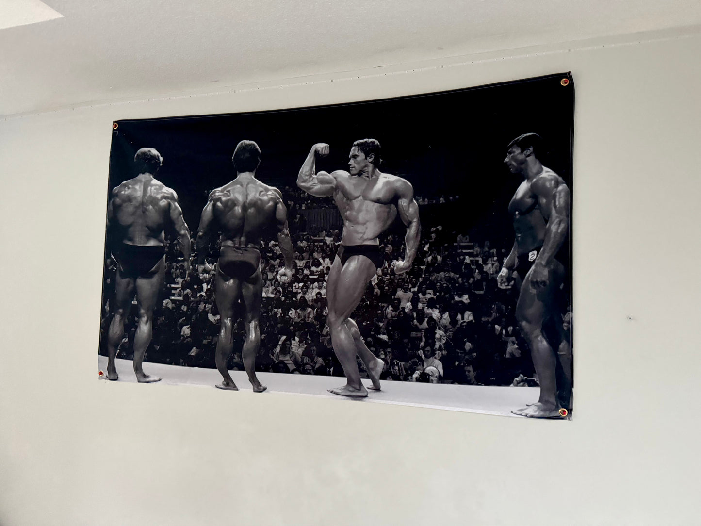 Arnold Schwarzenegger